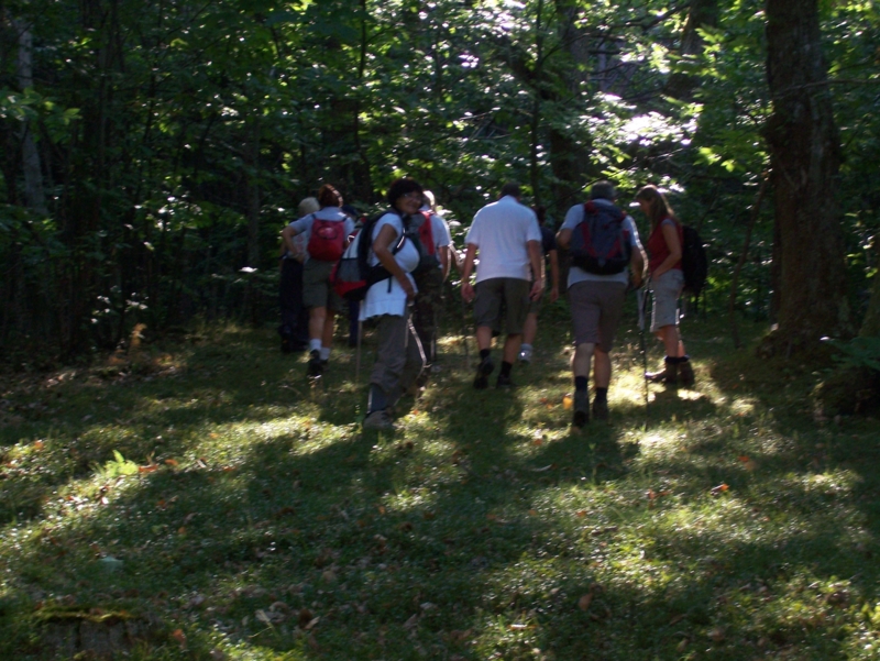  Image name: Frassignoni009.jpg 
 width: 800 pixel 
 height: 601 pixel 
 Size: 447389 bytes 
 Click to enlarge 