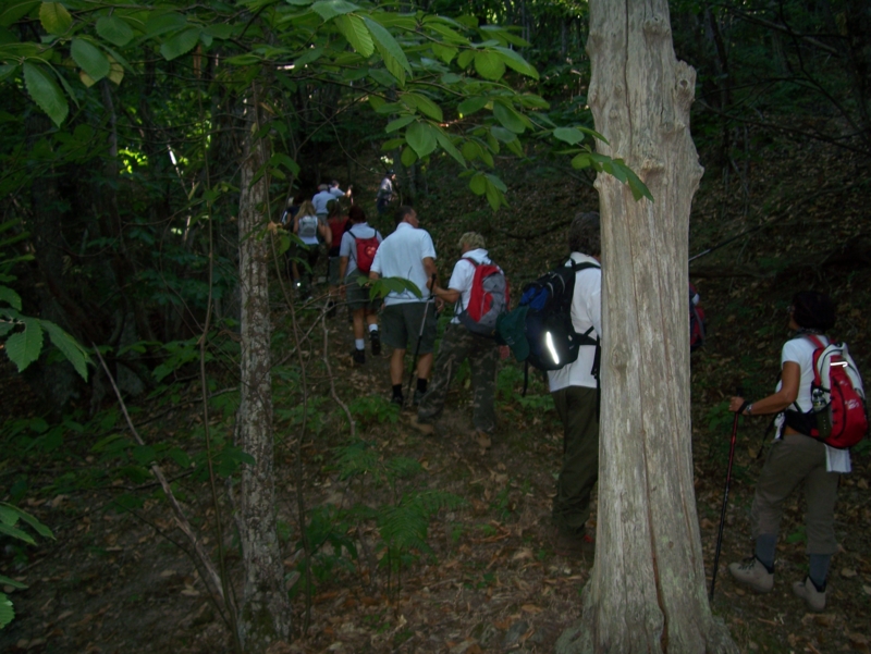  Image name: Frassignoni010.jpg 
 width: 800 pixel 
 height: 601 pixel 
 Size: 394715 bytes 
 Click to enlarge 