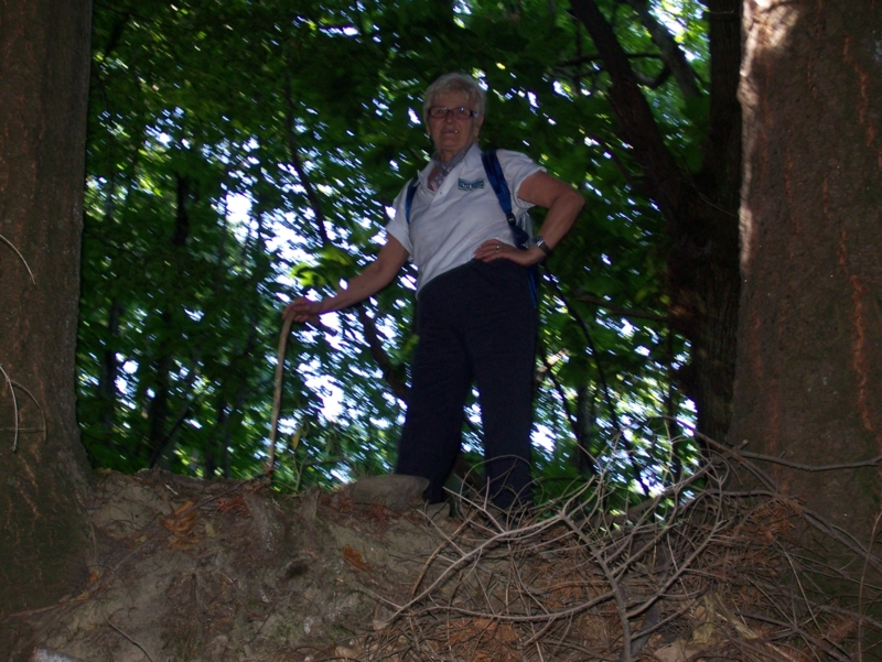  Image name: Frassignoni011.jpg 
 width: 800 pixel 
 height: 601 pixel 
 Size: 457746 bytes 
 Click to enlarge 