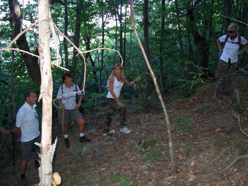  Image name: Frassignoni012.jpg 
 width: 800 pixel 
 height: 601 pixel 
 Size: 516247 bytes 
 Click to enlarge 