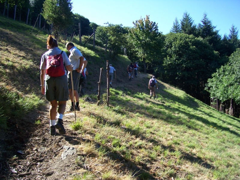  Image name: Frassignoni013.jpg 
 width: 800 pixel 
 height: 601 pixel 
 Size: 549799 bytes 
 Click to enlarge 