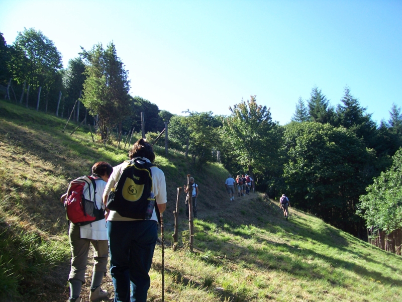  Image name: Frassignoni014.jpg 
 width: 800 pixel 
 height: 601 pixel 
 Size: 441712 bytes 
 Click to enlarge 