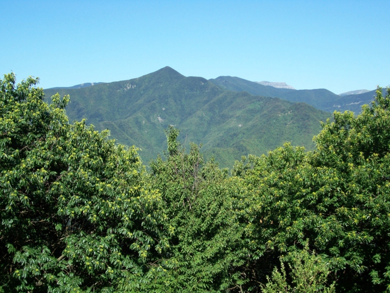  Image name: Frassignoni016.jpg 
 width: 800 pixel 
 height: 601 pixel 
 Size: 503212 bytes 
 Click to enlarge 