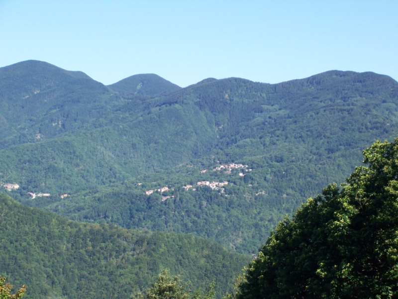  Image name: Frassignoni020.jpg 
 width: 800 pixel 
 height: 601 pixel 
 Size: 394069 bytes 
 Click to enlarge 