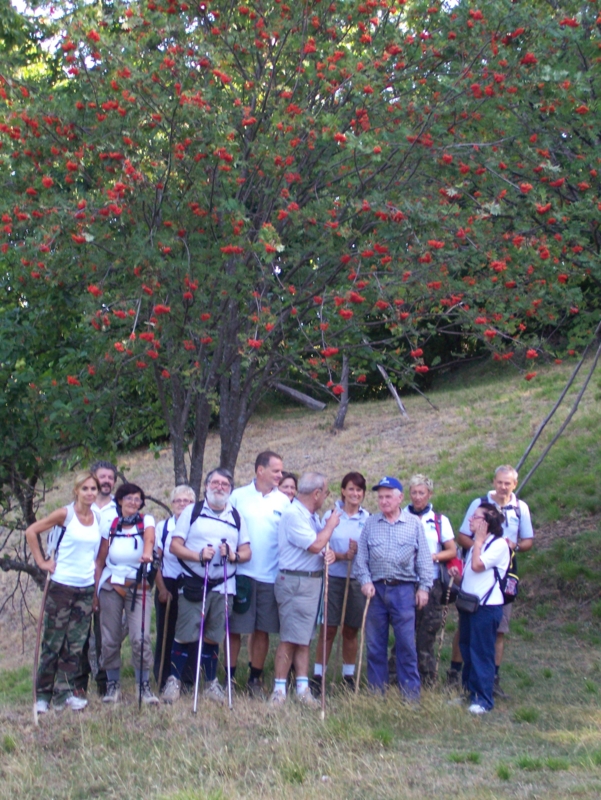  Image name: Frassignoni023.jpg 
 width: 601 pixel 
 height: 800 pixel 
 Size: 491698 bytes 
 Click to enlarge 