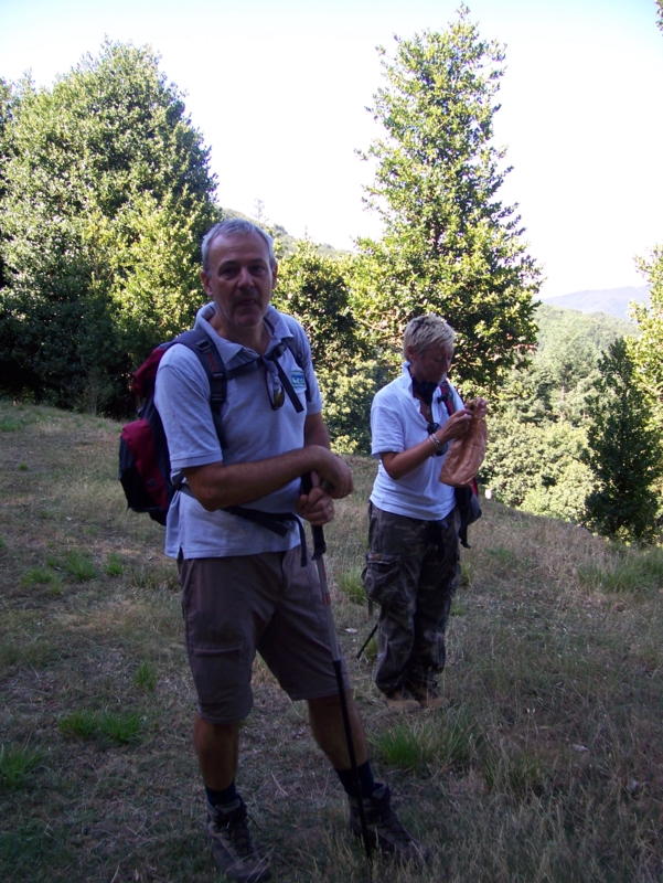  Image name: Frassignoni026.jpg 
 width: 601 pixel 
 height: 800 pixel 
 Size: 457613 bytes 
 Click to enlarge 