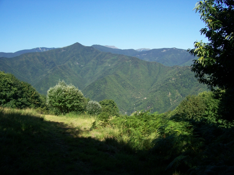  Image name: Frassignoni033.jpg 
 width: 800 pixel 
 height: 601 pixel 
 Size: 381277 bytes 
 Click to enlarge 