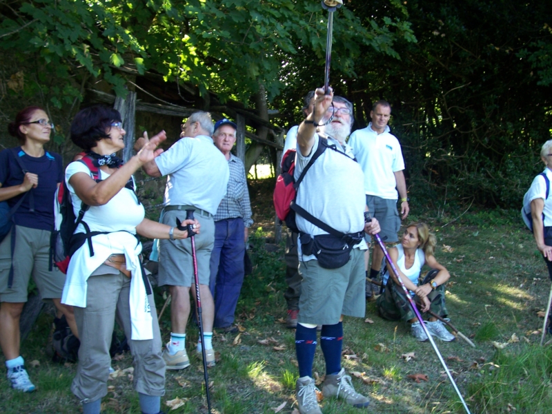  Image name: Frassignoni038.jpg 
 width: 800 pixel 
 height: 601 pixel 
 Size: 455759 bytes 
 Click to enlarge 