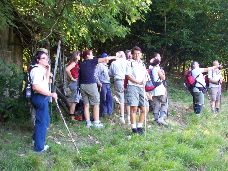  Image name: Frassignoni040.jpg 
 width: 800 pixel 
 height: 601 pixel 
 Size: 562526 bytes 
 Click to enlarge 