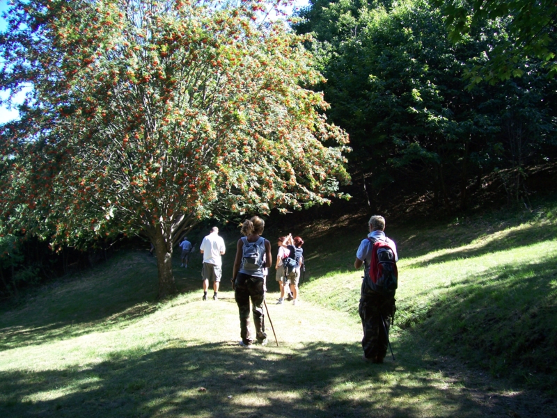  Image name: Frassignoni041.jpg 
 width: 800 pixel 
 height: 601 pixel 
 Size: 562029 bytes 
 Click to enlarge 