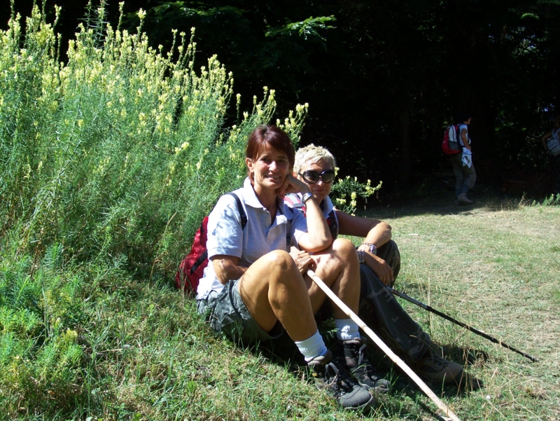  Image name: Frassignoni047.jpg 
 width: 800 pixel 
 height: 601 pixel 
 Size: 548894 bytes 
 Click to enlarge 