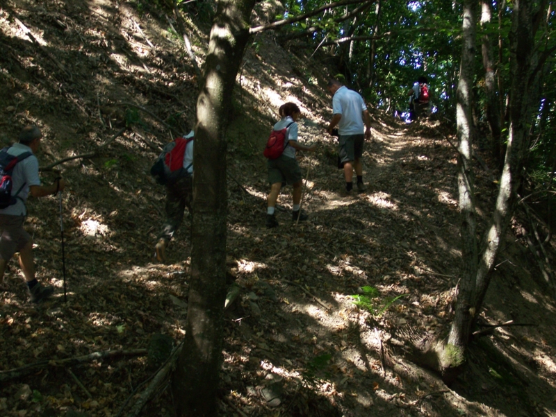  Image name: Frassignoni048.jpg 
 width: 800 pixel 
 height: 601 pixel 
 Size: 482863 bytes 
 Click to enlarge 