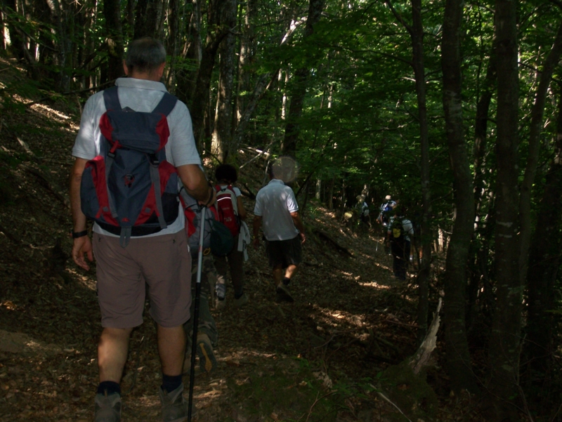  Image name: Frassignoni049.jpg 
 width: 800 pixel 
 height: 601 pixel 
 Size: 417677 bytes 
 Click to enlarge 