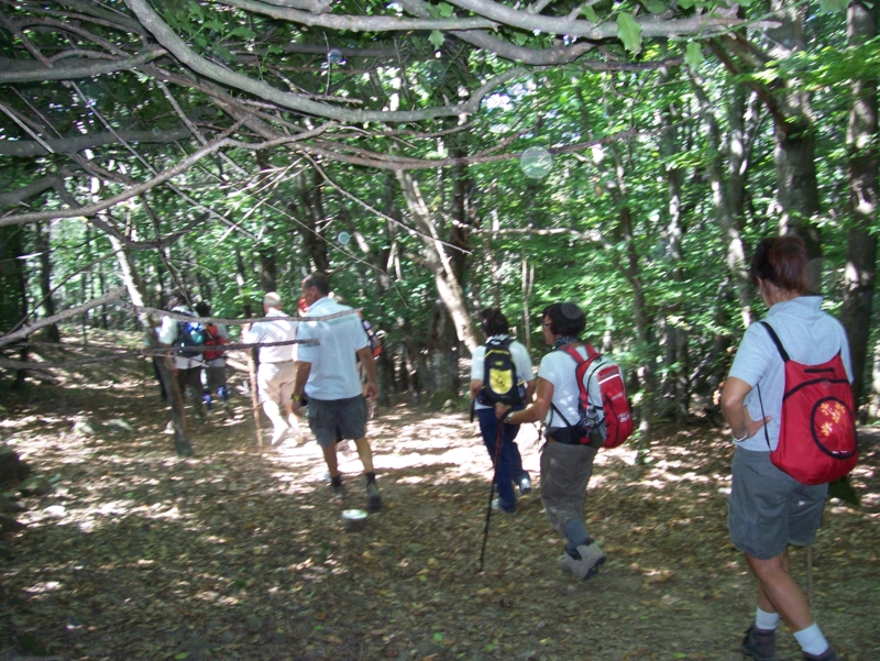  Image name: Frassignoni050.jpg 
 width: 800 pixel 
 height: 601 pixel 
 Size: 537902 bytes 
 Click to enlarge 