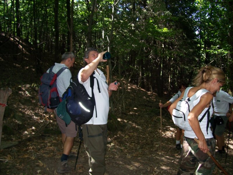  Image name: Frassignoni051.jpg 
 width: 800 pixel 
 height: 601 pixel 
 Size: 452717 bytes 
 Click to enlarge 