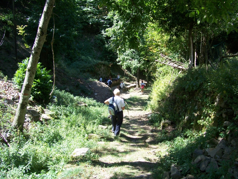  Image name: Frassignoni059.jpg 
 width: 800 pixel 
 height: 601 pixel 
 Size: 582211 bytes 
 Click to enlarge 