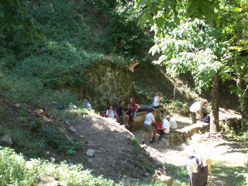  Image name: Frassignoni060.jpg 
 width: 800 pixel 
 height: 601 pixel 
 Size: 527806 bytes 
 Click to enlarge 