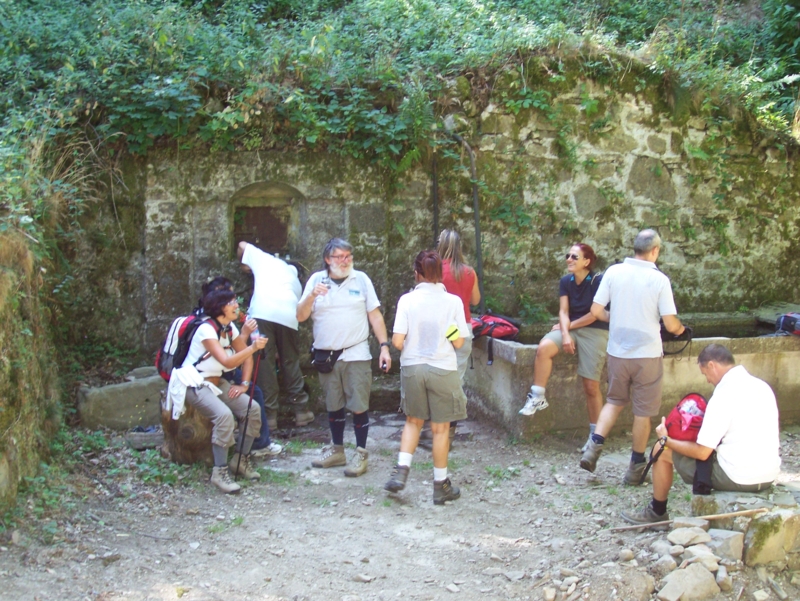  Image name: Frassignoni061.jpg 
 width: 800 pixel 
 height: 601 pixel 
 Size: 493176 bytes 
 Click to enlarge 