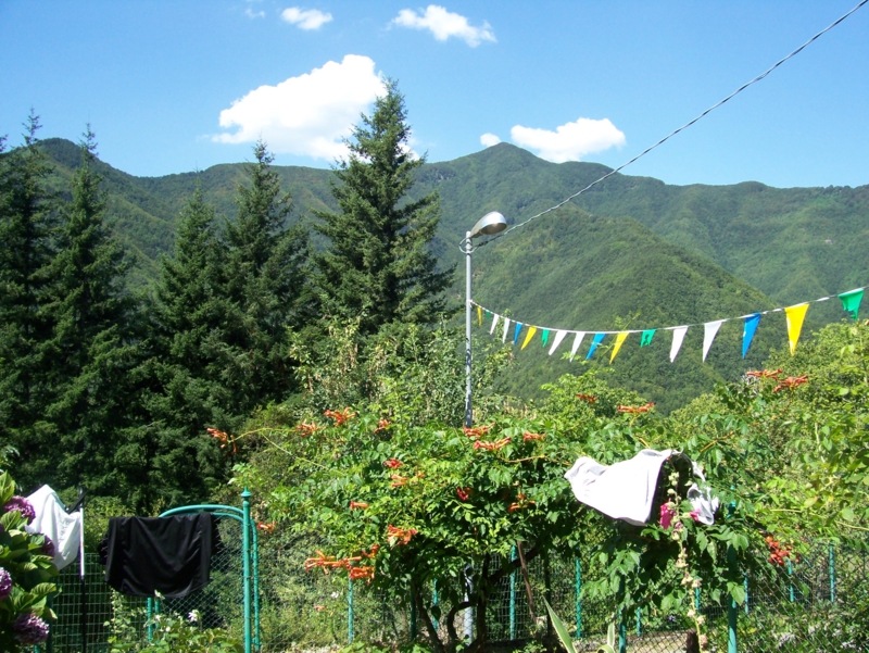  Image name: Frassignoni070.jpg 
 width: 800 pixel 
 height: 601 pixel 
 Size: 516570 bytes 
 Click to enlarge 