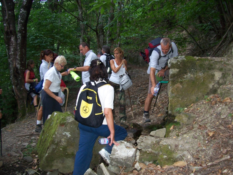  Image name: Frassignoni090.jpg 
 width: 800 pixel 
 height: 601 pixel 
 Size: 470045 bytes 
 Click to enlarge 