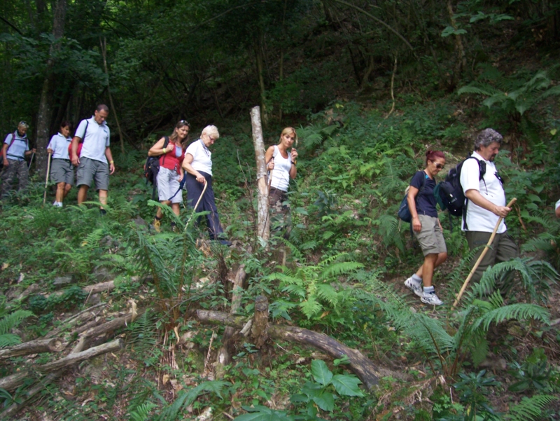  Image name: Frassignoni092.jpg 
 width: 800 pixel 
 height: 601 pixel 
 Size: 485894 bytes 
 Click to enlarge 