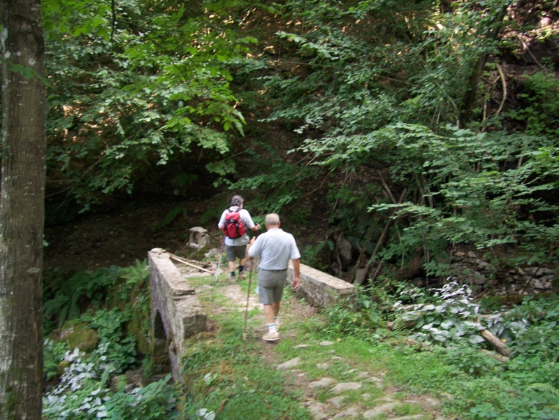  Image name: Frassignoni093.jpg 
 width: 800 pixel 
 height: 601 pixel 
 Size: 507364 bytes 
 Click to enlarge 