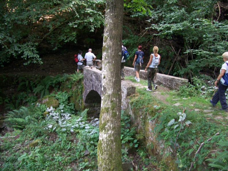  Image name: Frassignoni094.jpg 
 width: 800 pixel 
 height: 601 pixel 
 Size: 517814 bytes 
 Click to enlarge 