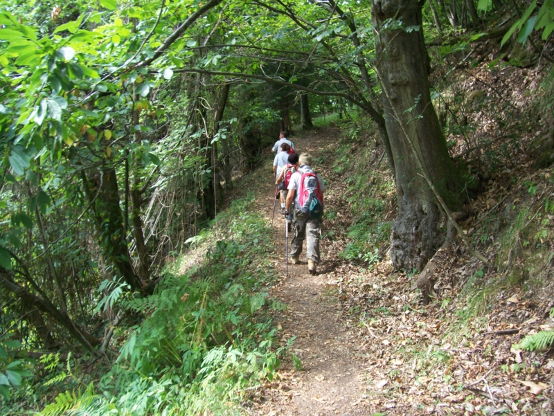  Image name: Frassignoni096.jpg 
 width: 800 pixel 
 height: 601 pixel 
 Size: 591866 bytes 
 Click to enlarge 